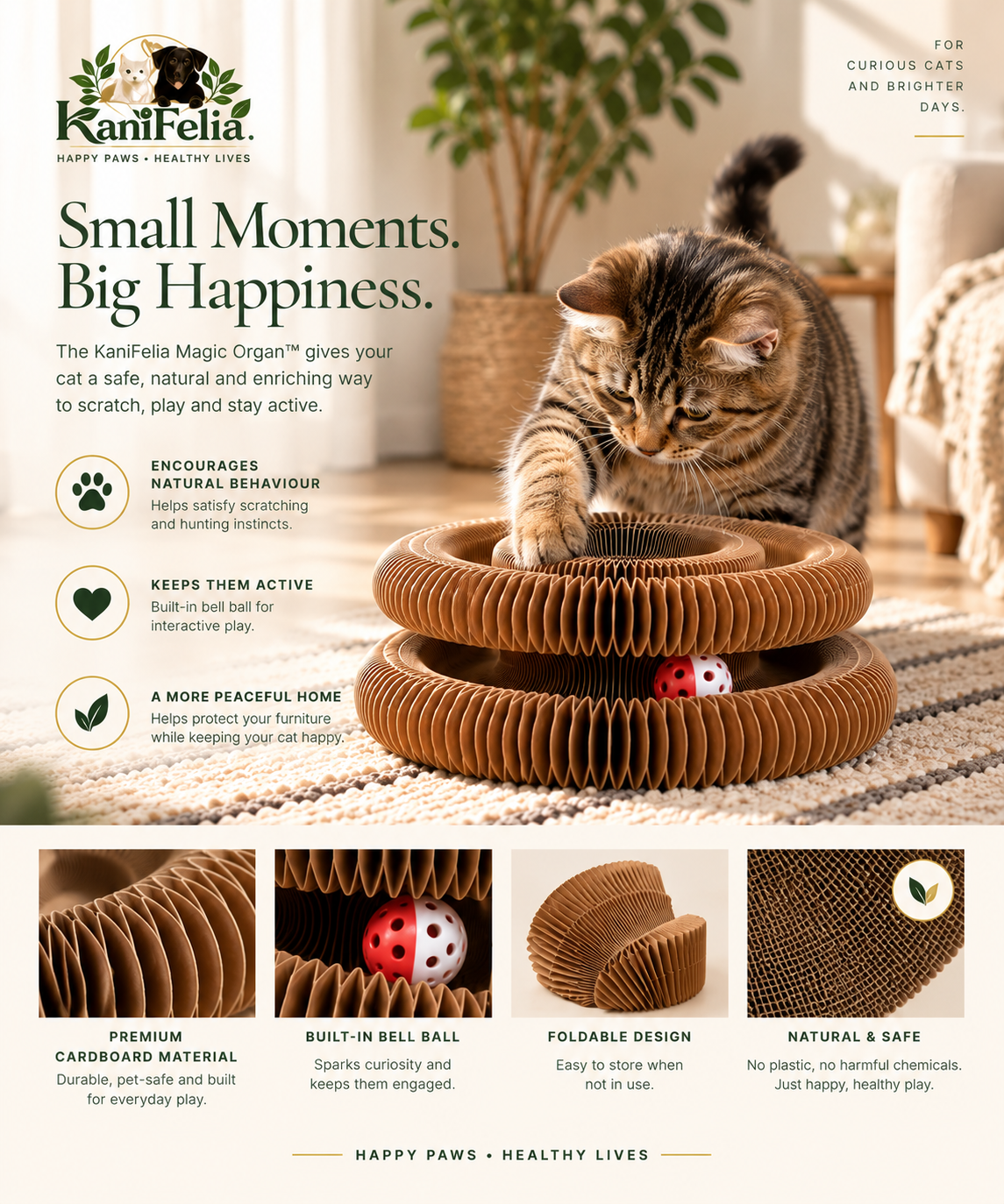 KaniFelia Magic Organ™ Cat Scratching Board